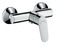 Hansgrohe Focus (31960000)